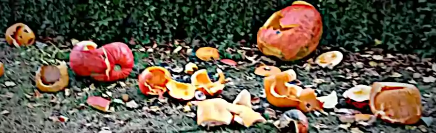 /20231025_rm_upresneni_o_kurdejovskem_dynovani/featured-image-preview.webp /20231025_rm_upresneni_o_kurdejovskem_dynovani/featured-image-preview.webp