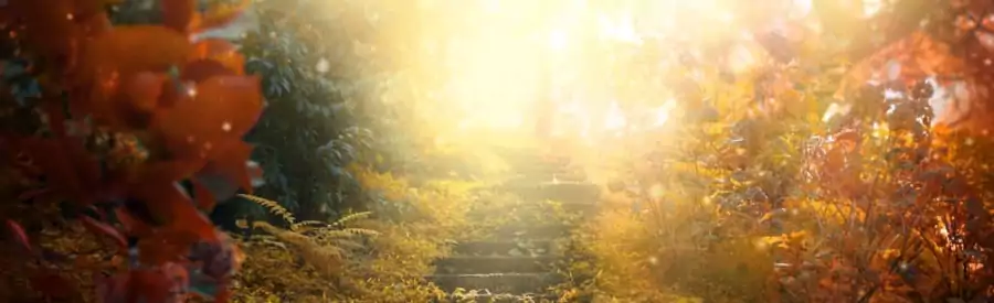 /20231104_rm_radostna_nebo_hroziva_zvest/featured-image-preview.webp /20231104_rm_radostna_nebo_hroziva_zvest/featured-image-preview.webp