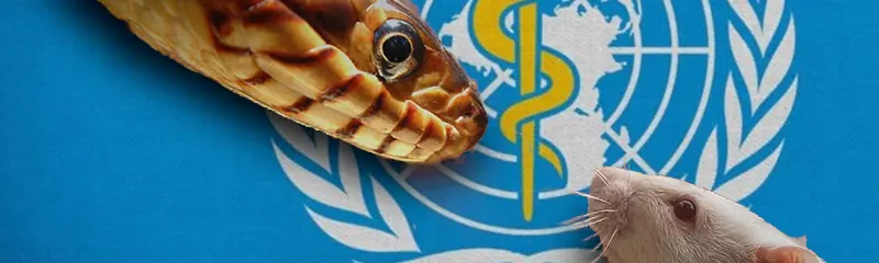 /20250612_rm_pandemicka_smlouva/featured-image-preview.webp /20250612_rm_pandemicka_smlouva/featured-image-preview.webp