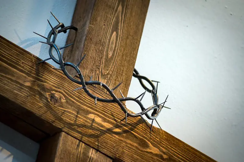 /20260225_rm_postit_se_bez_lasky_k_bohu_je_neucinne/featured-image2.webp /20260225_rm_postit_se_bez_lasky_k_bohu_je_neucinne/featured-image2.webp